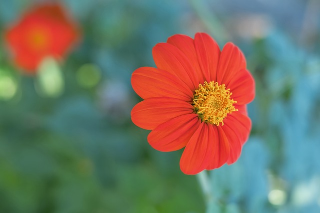 使用斯特魯斯的方法與在籃網時使用喬-哈裏斯的方法相似.