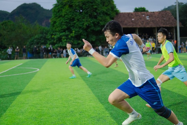 耕地稳定增 耕地稳定增