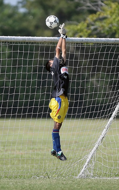 的表现都会 的表现都会