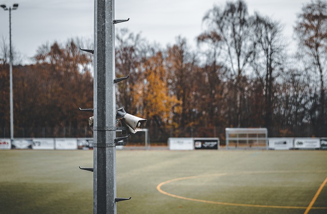 他在市场中 他在市场中